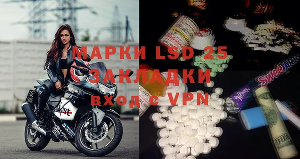 PSILOCYBIN Белокуриха