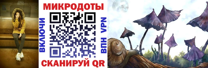 Псилоцибиновые грибы Cubensis  Салаир 